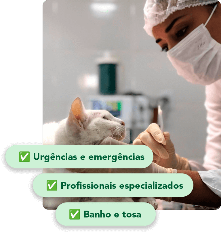 Atendimento Veterinário 24 horas Pet Patanga